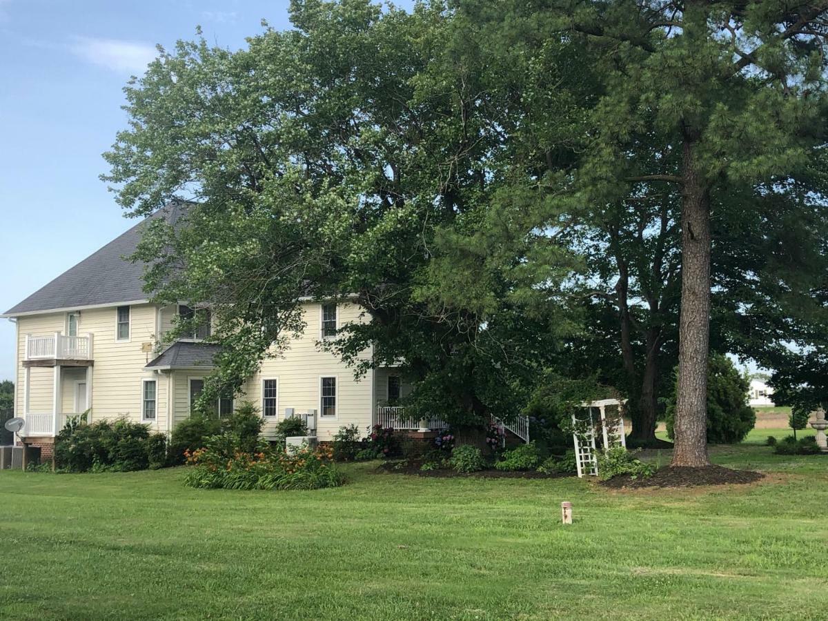 Ma Margarets House Bed And Breakfast Heathsville エクステリア 写真